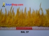 bulu ayam lancip BAL 37 - feather medium.jpg